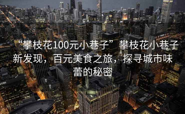 “攀枝花100元小巷子”攀枝花小巷子新發(fā)現，百元美食之旅，探尋城市味蕾的秘密