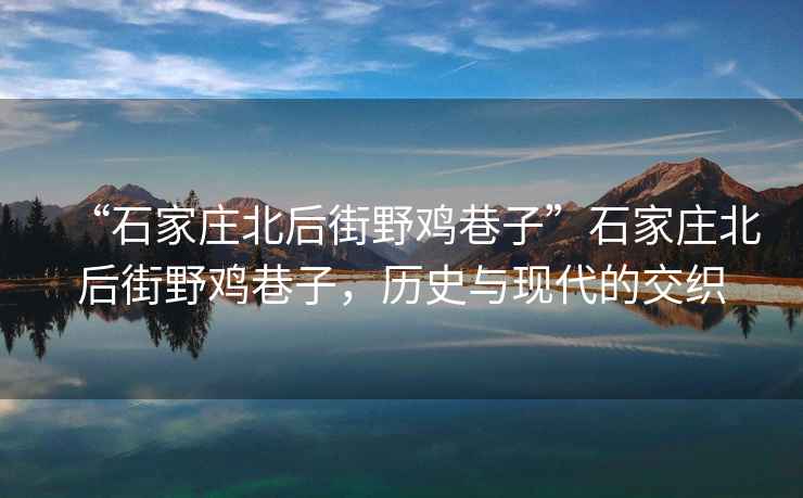 “石家莊北后街野雞巷子”石家莊北后街野雞巷子，歷史與現(xiàn)代的交織
