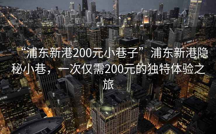 “浦東新港200元小巷子”浦東新港隱秘小巷，一次僅需200元的獨(dú)特體驗(yàn)之旅