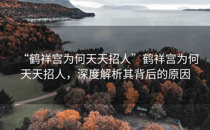 “鶴祥宮為何天天招人”鶴祥宮為何天天招人，深度解析其背后的原因