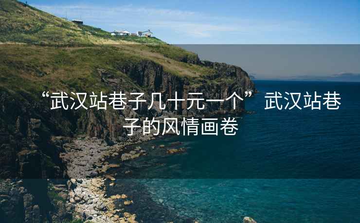 “武漢站巷子幾十元一個(gè)”武漢站巷子的風(fēng)情畫卷