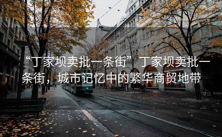 “丁家壩賣批一條街”丁家壩賣批一條街，城市記憶中的繁華商貿(mào)地帶