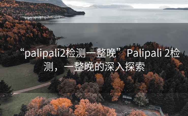 “palipali2檢測一整晚”Palipali 2檢測，一整晚的深入探索
