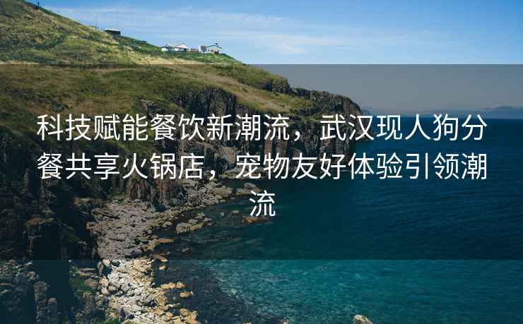 科技賦能餐飲新潮流，武漢現(xiàn)人狗分餐共享火鍋店，寵物友好體驗引領(lǐng)潮流