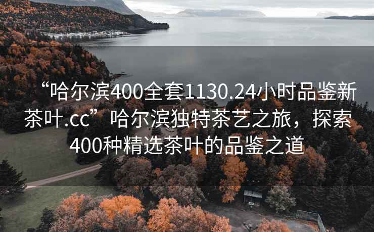 “哈爾濱400全套1130.24小時(shí)品鑒新茶葉.cc”哈爾濱獨(dú)特茶藝之旅，探索400種精選茶葉的品鑒之道
