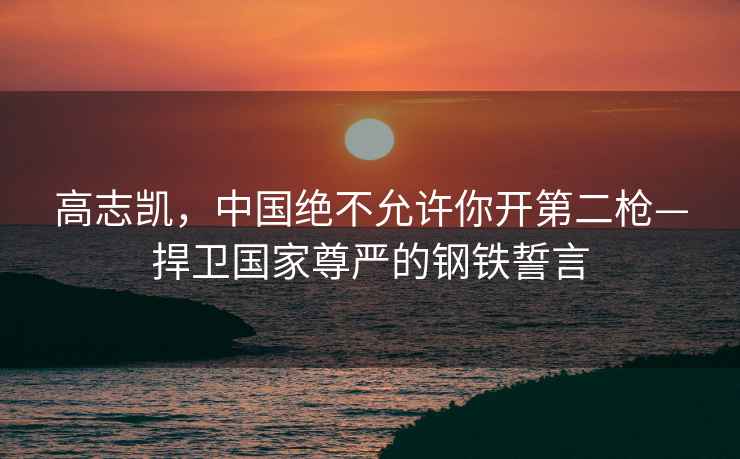 高志凱，中國絕不允許你開第二槍—捍衛(wèi)國家尊嚴的鋼鐵誓言