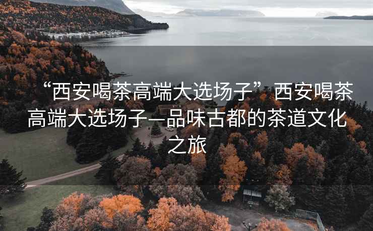“西安喝茶高端大選場子”西安喝茶高端大選場子—品味古都的茶道文化之旅