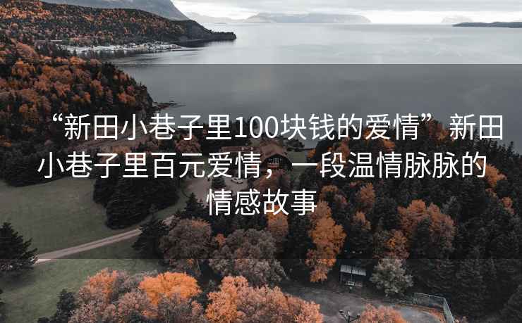 “新田小巷子里100塊錢的愛情”新田小巷子里百元愛情，一段溫情脈脈的情感故事
