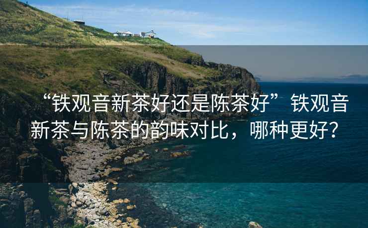 “鐵觀音新茶好還是陳茶好”鐵觀音新茶與陳茶的韻味對比，哪種更好？