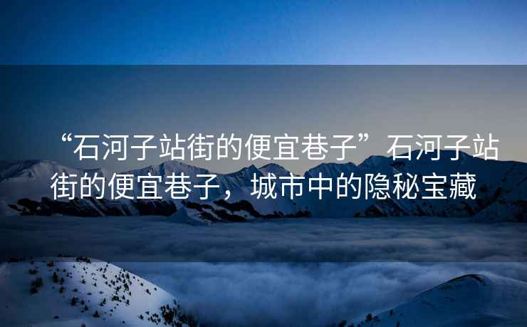 “石河子站街的便宜巷子”石河子站街的便宜巷子，城市中的隱秘寶藏