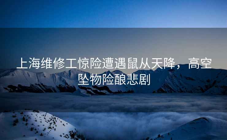上海維修工驚險(xiǎn)遭遇鼠從天降，高空墜物險(xiǎn)釀悲劇