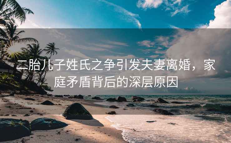 二胎兒子姓氏之爭(zhēng)引發(fā)夫妻離婚，家庭矛盾背后的深層原因