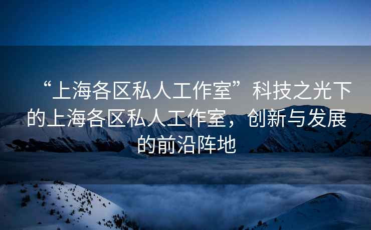 “上海各區(qū)私人工作室”科技之光下的上海各區(qū)私人工作室，創(chuàng)新與發(fā)展的前沿陣地
