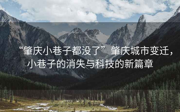 “肇慶小巷子都沒了”肇慶城市變遷，小巷子的消失與科技的新篇章