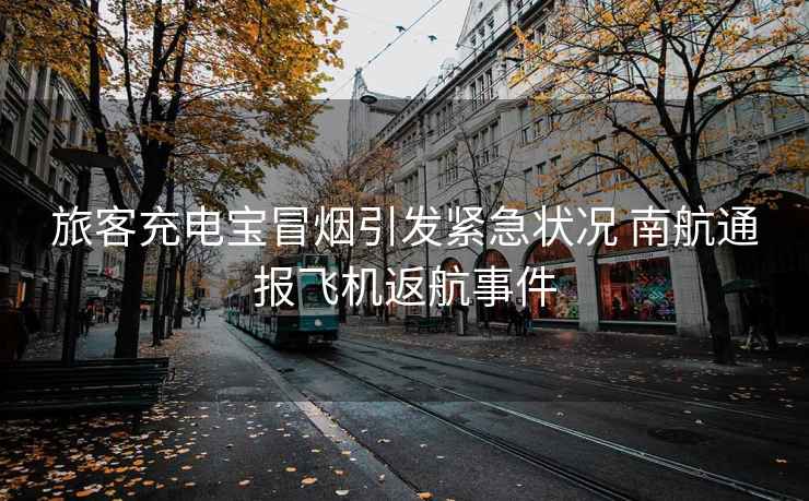 旅客充電寶冒煙引發(fā)緊急狀況 南航通報(bào)飛機(jī)返航事件