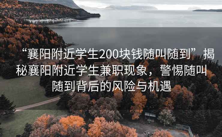 “襄陽附近學(xué)生200塊錢隨叫隨到”揭秘襄陽附近學(xué)生兼職現(xiàn)象，警惕隨叫隨到背后的風(fēng)險與機遇