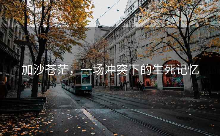 加沙蒼茫，一場(chǎng)沖突下的生死記憶