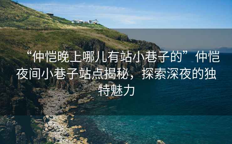“仲愷晚上哪兒有站小巷子的”仲愷夜間小巷子站點(diǎn)揭秘，探索深夜的獨(dú)特魅力