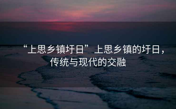 “上思鄉(xiāng)鎮(zhèn)圩日”上思鄉(xiāng)鎮(zhèn)的圩日，傳統(tǒng)與現(xiàn)代的交融