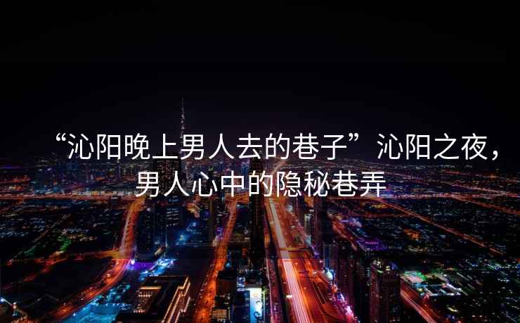 “沁陽晚上男人去的巷子”沁陽之夜，男人心中的隱秘巷弄