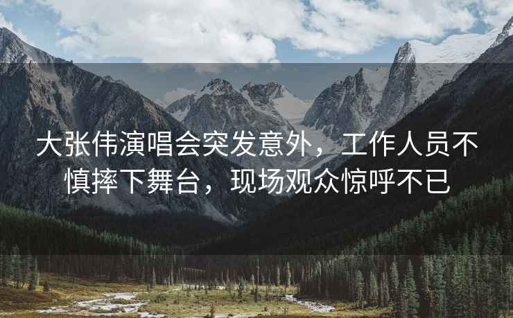 大張偉演唱會(huì)突發(fā)意外，工作人員不慎摔下舞臺(tái)，現(xiàn)場(chǎng)觀眾驚呼不已