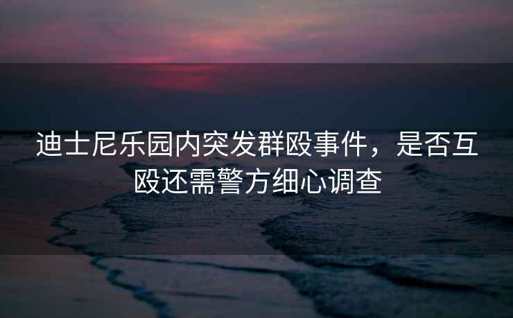迪士尼樂園內(nèi)突發(fā)群毆事件，是否互毆還需警方細心調(diào)查