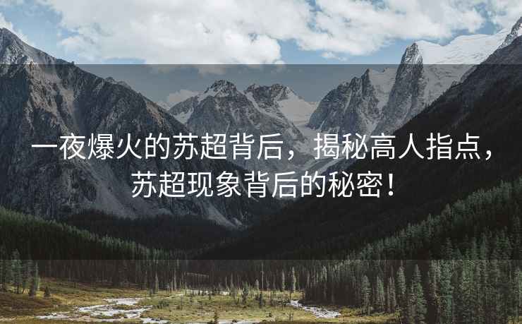 一夜爆火的蘇超背后，揭秘高人指點，蘇超現(xiàn)象背后的秘密！