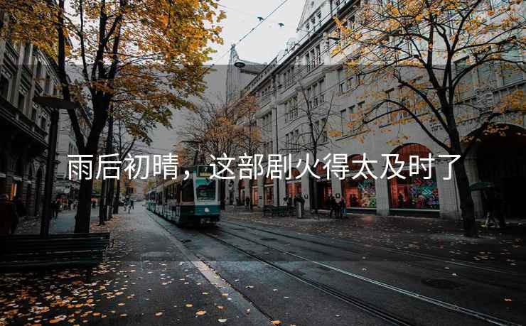 雨后初晴，這部劇火得太及時(shí)了