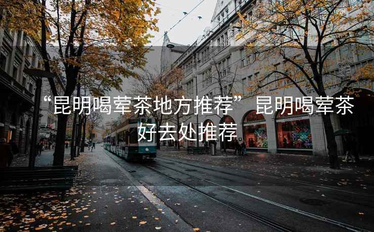 “昆明喝葷茶地方推薦”昆明喝葷茶好去處推薦