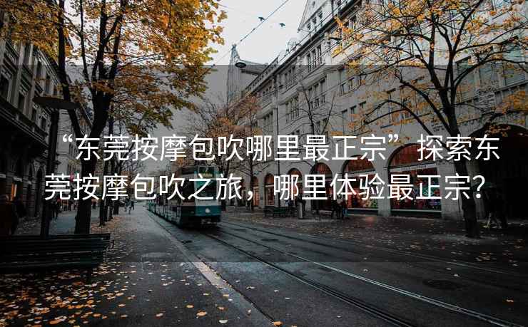 “東莞按摩包吹哪里最正宗”探索東莞按摩包吹之旅，哪里體驗最正宗？