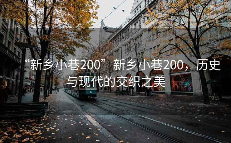 “新鄉(xiāng)小巷200”新鄉(xiāng)小巷200，歷史與現(xiàn)代的交織之美