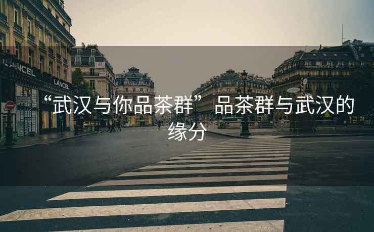 “武漢與你品茶群”品茶群與武漢的緣分