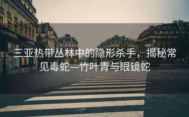 三亞熱帶叢林中的隱形殺手，揭秘常見(jiàn)毒蛇—竹葉青與眼鏡蛇
