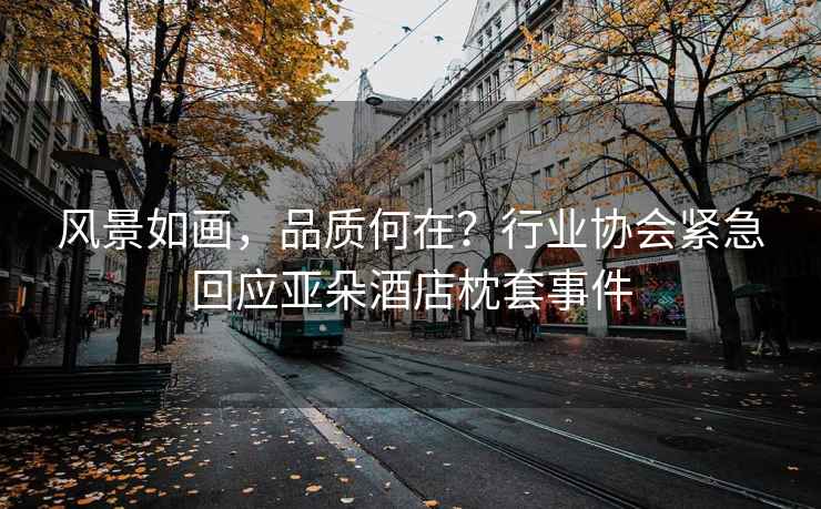 風(fēng)景如畫，品質(zhì)何在？行業(yè)協(xié)會緊急回應(yīng)亞朵酒店枕套事件