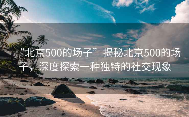 “北京500的場子”揭秘北京500的場子，深度探索一種獨特的社交現(xiàn)象