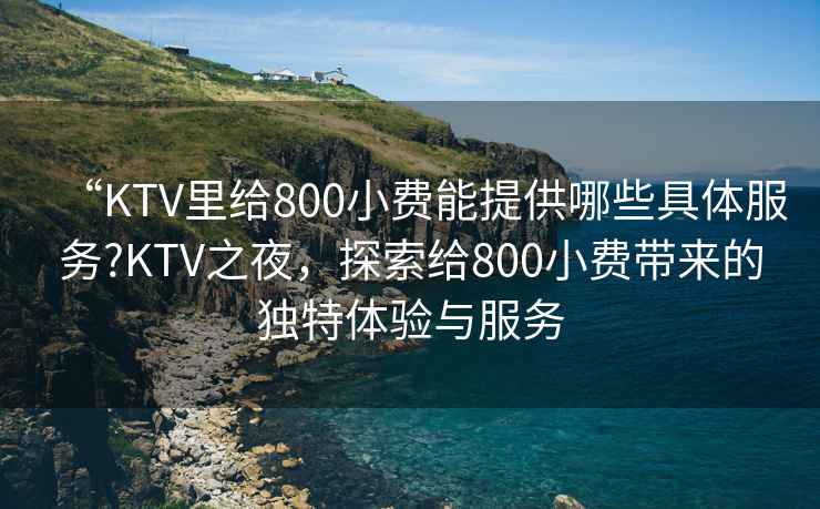 “KTV里給800小費(fèi)能提供哪些具體服務(wù)?KTV之夜，探索給800小費(fèi)帶來(lái)的獨(dú)特體驗(yàn)與服務(wù)