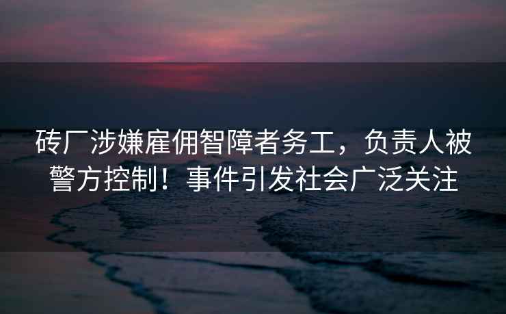 磚廠涉嫌雇傭智障者務(wù)工，負(fù)責(zé)人被警方控制！事件引發(fā)社會(huì)廣泛關(guān)注