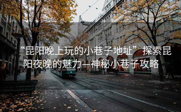 “昆陽(yáng)晚上玩的小巷子地址”探索昆陽(yáng)夜晚的魅力—神秘小巷子攻略
