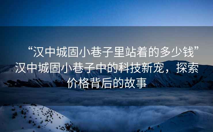 “漢中城固小巷子里站著的多少錢”漢中城固小巷子中的科技新寵，探索價格背后的故事
