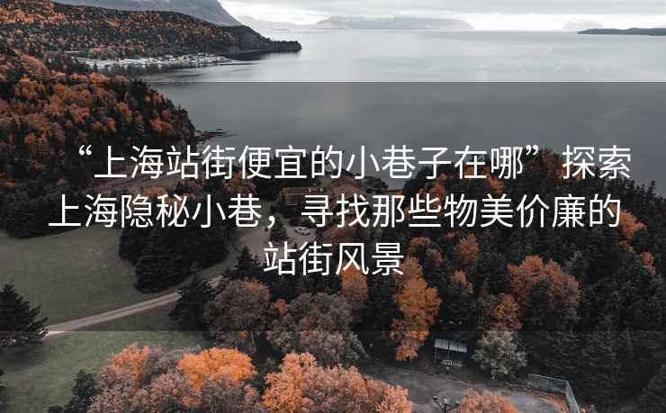 “上海站街便宜的小巷子在哪”探索上海隱秘小巷，尋找那些物美價廉的站街風景