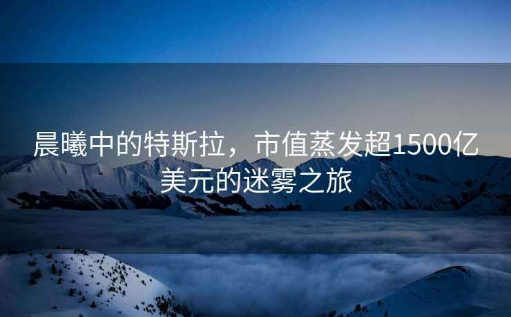晨曦中的特斯拉，市值蒸發(fā)超1500億美元的迷霧之旅