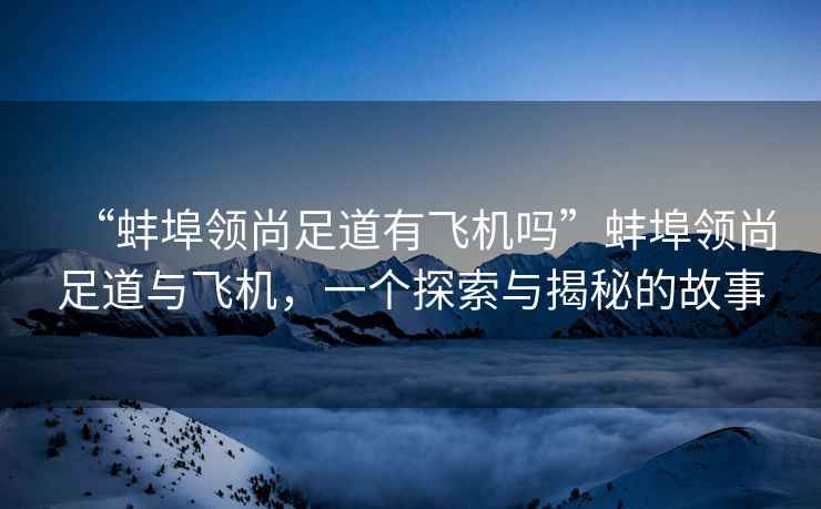 “蚌埠領尚足道有飛機嗎”蚌埠領尚足道與飛機，一個探索與揭秘的故事