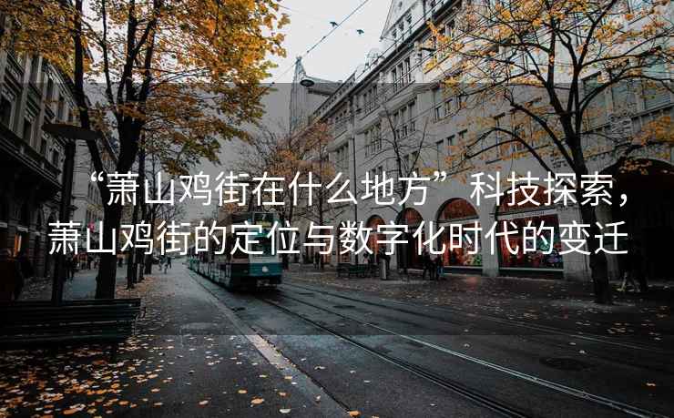 “蕭山雞街在什么地方”科技探索，蕭山雞街的定位與數(shù)字化時(shí)代的變遷