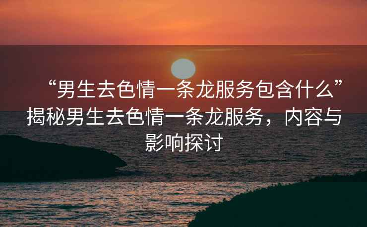 “男生去色情一條龍服務包含什么”揭秘男生去色情一條龍服務，內容與影響探討