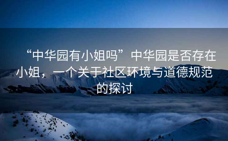 “中華園有小姐嗎”中華園是否存在小姐，一個(gè)關(guān)于社區(qū)環(huán)境與道德規(guī)范的探討