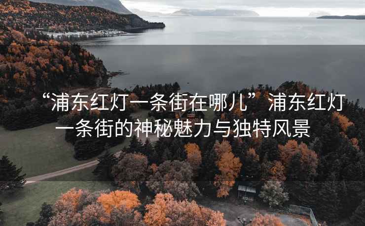“浦東紅燈一條街在哪兒”浦東紅燈一條街的神秘魅力與獨(dú)特風(fēng)景