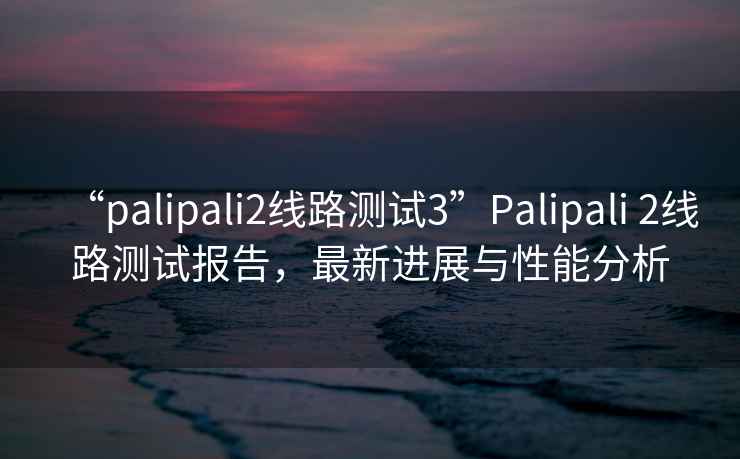 “palipali2線路測(cè)試3”Palipali 2線路測(cè)試報(bào)告，最新進(jìn)展與性能分析