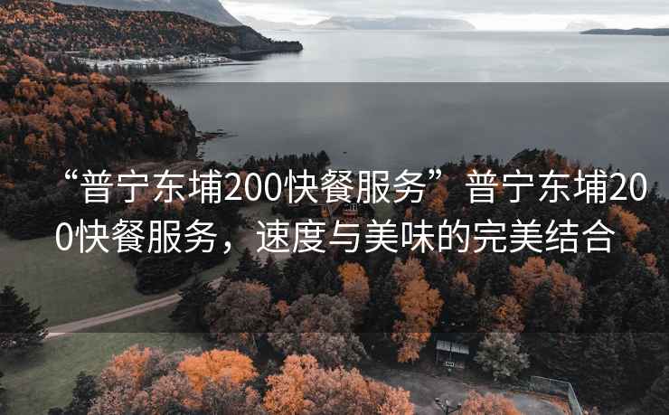 “普寧東埔200快餐服務(wù)”普寧東埔200快餐服務(wù)，速度與美味的完美結(jié)合