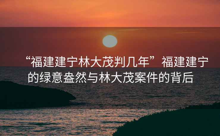 “福建建寧林大茂判幾年”福建建寧的綠意盎然與林大茂案件的背后