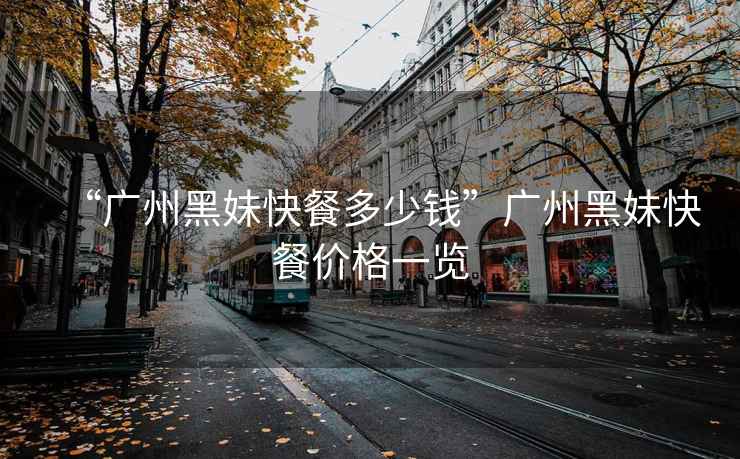 “廣州黑妹快餐多少錢”廣州黑妹快餐價格一覽